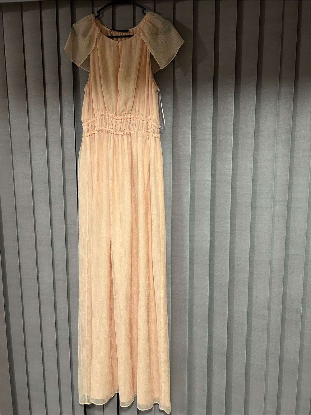 Zara Peach Chiffon Maxi Dress with Ruffle Cap Sleeves (never worn)